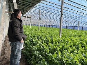 Gɫȫa(chn)I(y) l(xing)彛(jng)(j)d