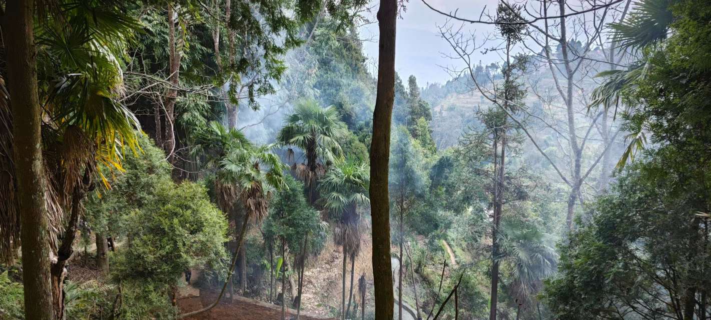 ɽ|WW縰֧顪(sh)W֮ctӣԊ֮ů