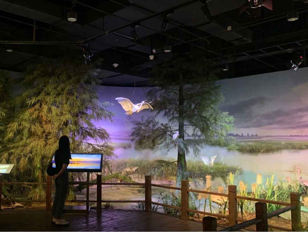 ŌW(xu)Ӹв^_չĻL(fng)