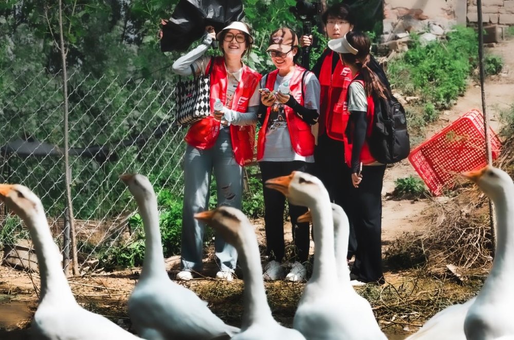 ̽Ҷl(xing)֮·xd֮