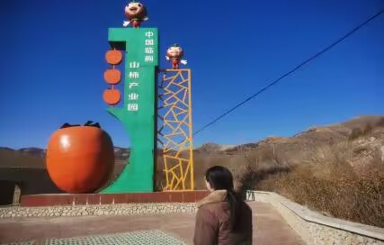 走進(jìn)漫山柿子林,打卡鄉(xiāng)間藝術(shù)品