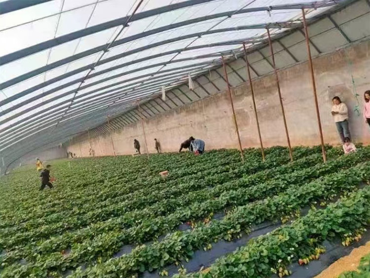 ӋdlFꠡӋdlF꠱ɽ|Ͳ_չ`