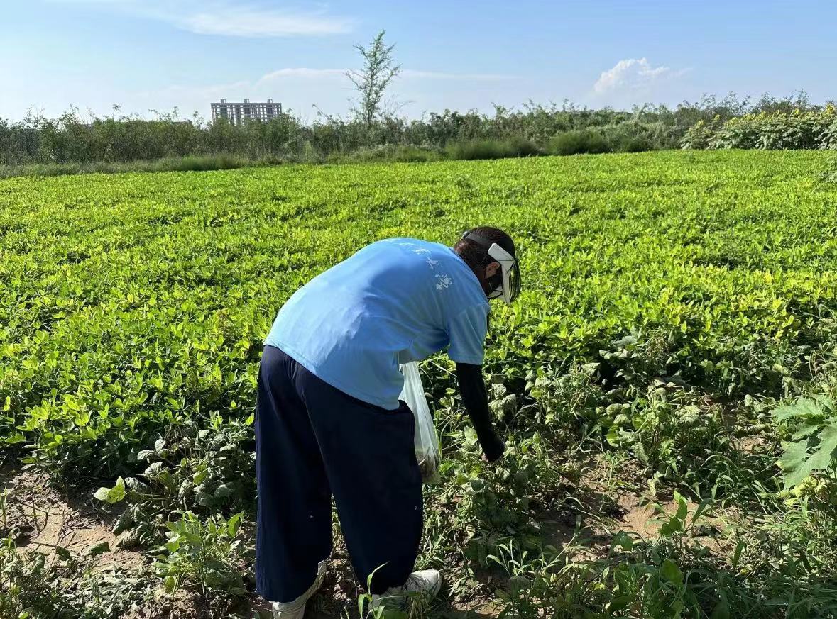 ɪ˹δr(nng)I(y)ƼW(xu)ԺZ͡ɽ|(j)݅^(q)wf(sh)`