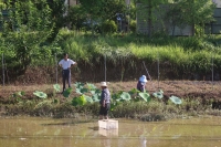 ڌ`呟^ӲIdB ؑc̴WСȸҿhR悹@_չ{ЌW