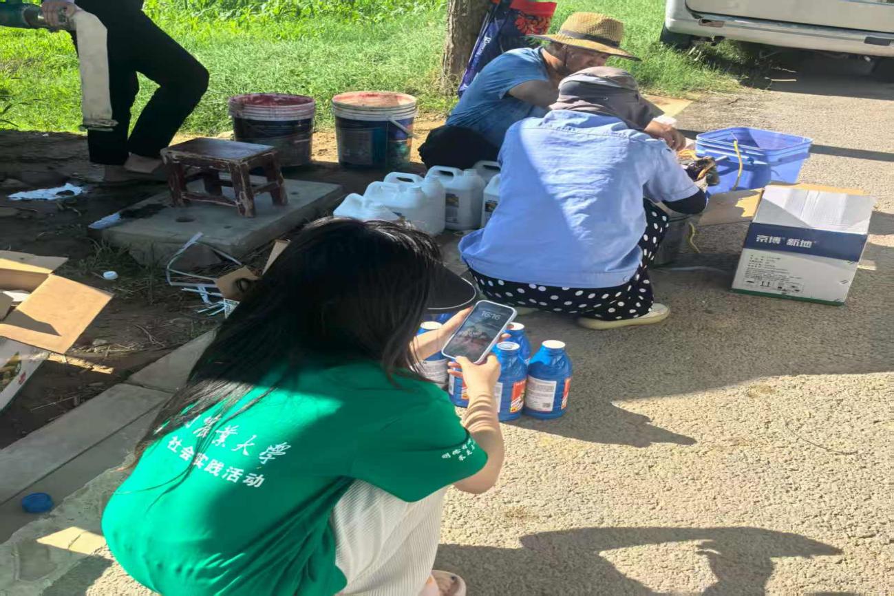 青春助力鄉(xiāng)村興,實(shí)踐擔(dān)當(dāng)田間顯