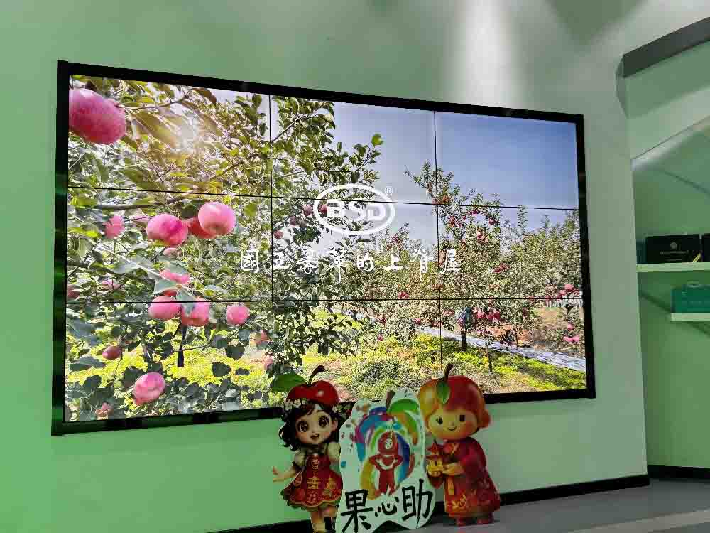 ˇİrd`꠸_Зϼ_չ{л