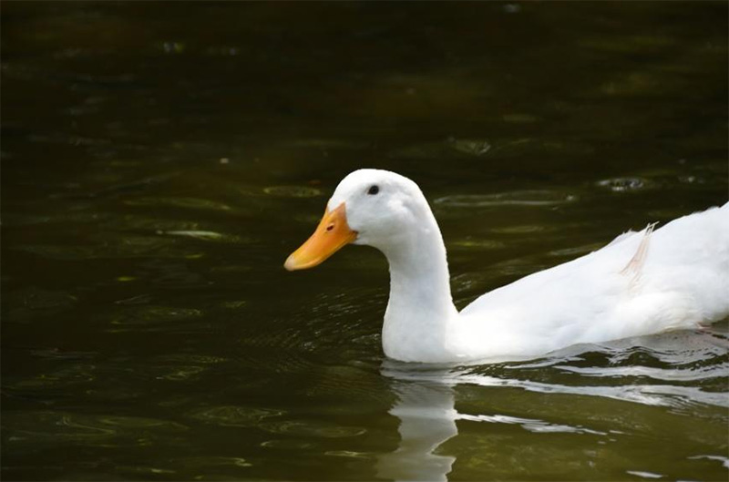 ϣpB衪KݴW蘷Ќ`Fɹ_չ{