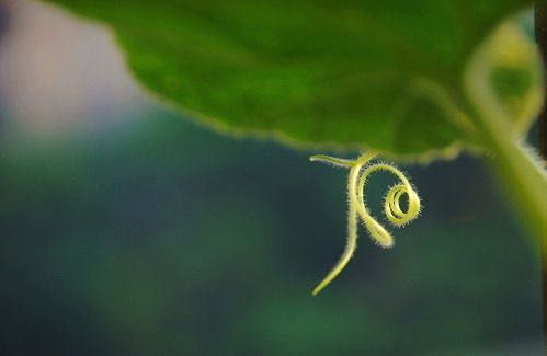 ӿƼWƌWcgWԺek Ȼ-ɻӡ֮ɡƪȻɺXƷ