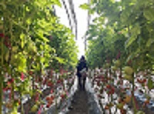 P(gun)עr(nng)(sh)ؠrƄ(dng)Gɫl(f)չ