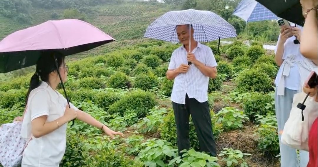 ̴W(xu)l(xing)yͬС(hu)(sh)`F(tun)(du)