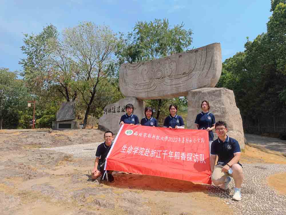 ⵾⣬l | rWӺķzַ֮