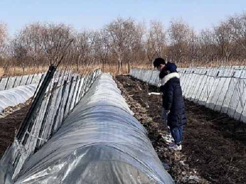 پGɫa(chn)I(y)򷱘sa(chn)I(y)ȫl(f)չ