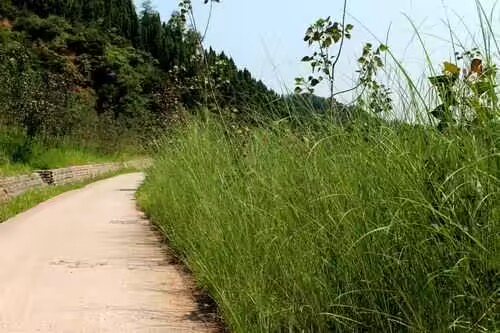 "MA"(sh)`(du)׌UM(fi)l(xing)