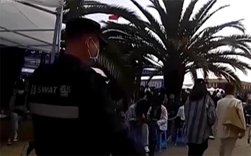 ŮW֙Cl(f)SOSϢʧ(lin)L؈