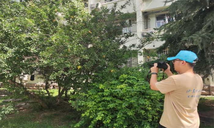 ̽GǰҊɾԾG崺L(fng)ɽ|W(xu)̽G`F(tun)`СY(ji)