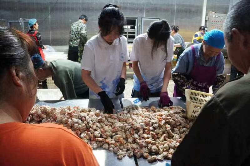 直播助農攜手奮進鄉村新征程