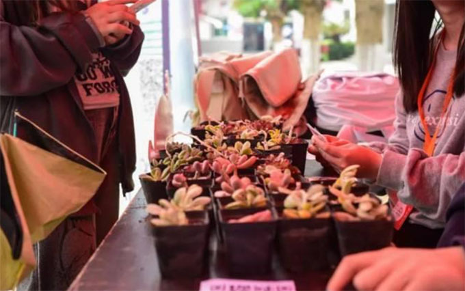 }ϿƼWԺУFί_չʮôWGֲIB