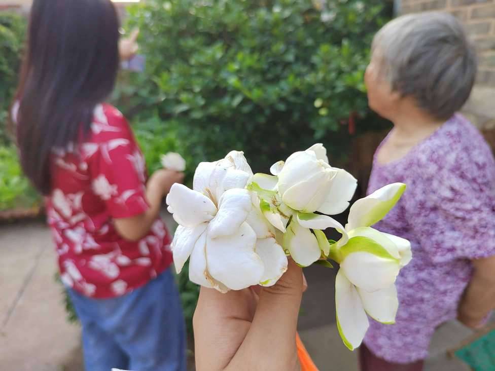 dӻ̵Īסøxゃ׌ҸX˴