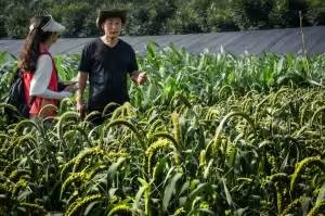 ʯ`꠷ʳ֮СhxEӣGɫLh