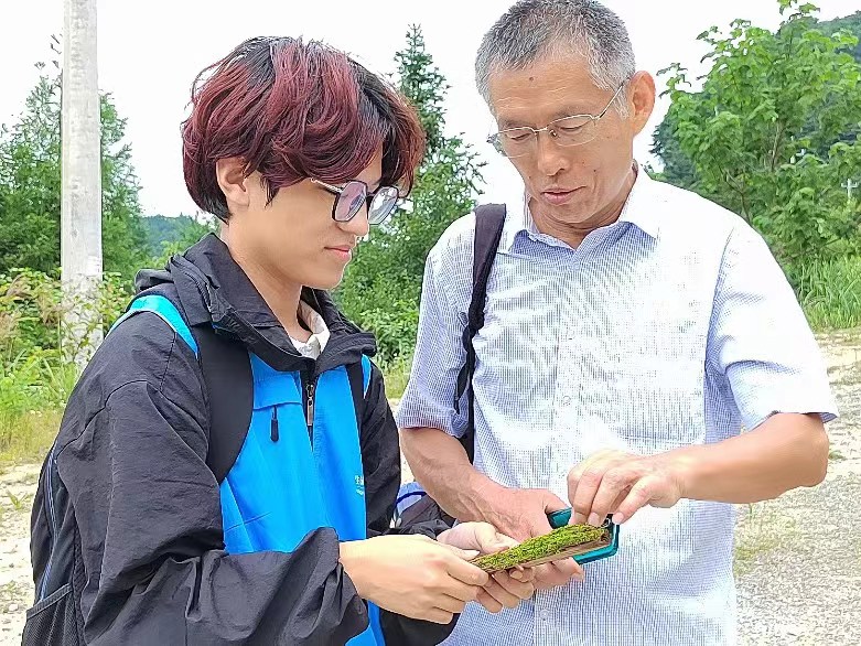 ώWƌWWԺС࣬ɭСG֮tIBG`{ЈF_չϵлӡһ̽\һާ