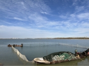 O(sh)`F(tun)24Ռ½rM(jn)Ќ(sh){(dio)