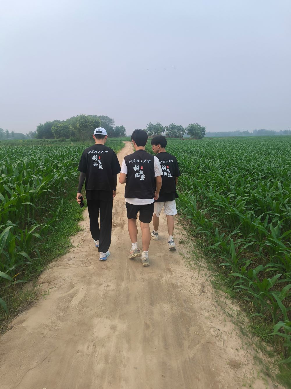 ƼS(sh)`F(tun)öVg(sh)M(jn)r(nng)zy