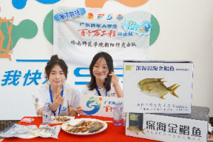 ƶrd --XώWԺСͻ꠵rSw֮·