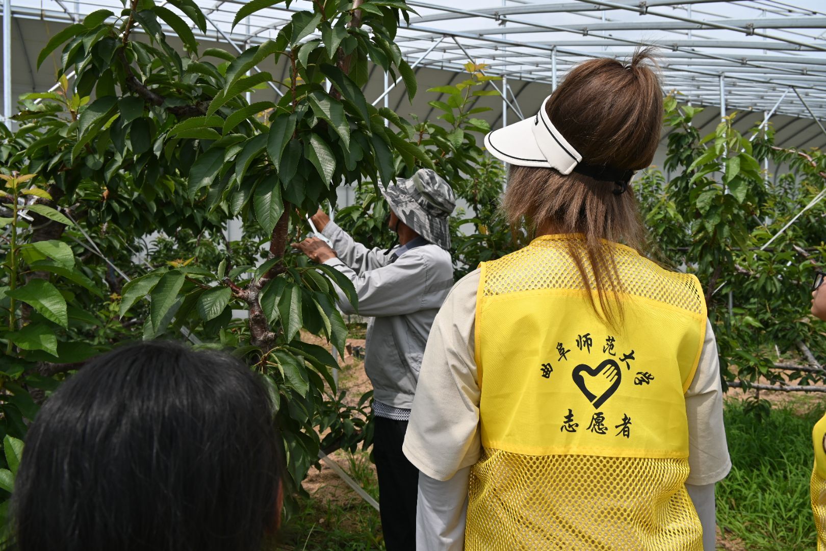 青春賦能 實踐助興