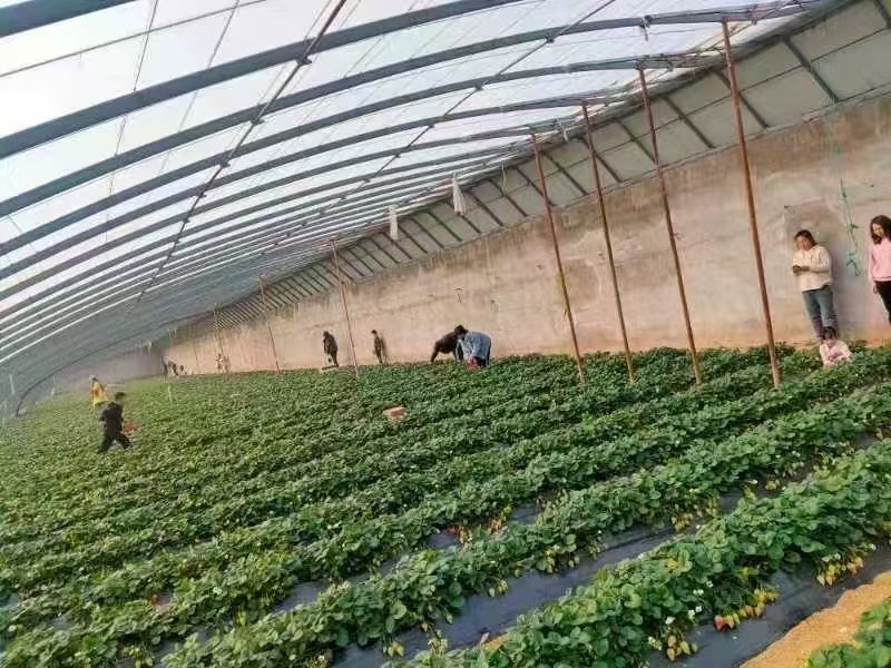 Ӌ(j)dl(xing)F(tun)(du)Ӌ(j)dl(xing)F(tun)(du)ɽ|Ͳ_չ(sh)`(dng)