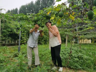 ɽ|Wɣr飬BС{ЈFڝк̌ˎ޹˾_չ{