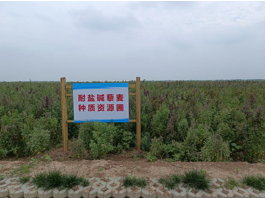 Mr(nng)߅^(q)ա}Aء׃¼Z}