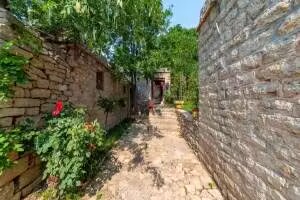 特色古村綻新顏,走向鄉村振興路