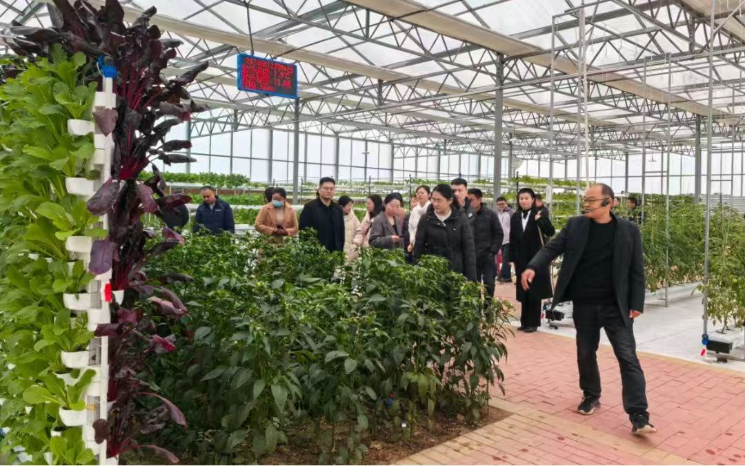 Ӌdl`FɫrINֲ̽llչ