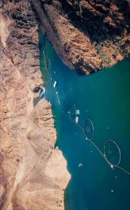 O(sh)`F(tun)½rP(gun){(dio)