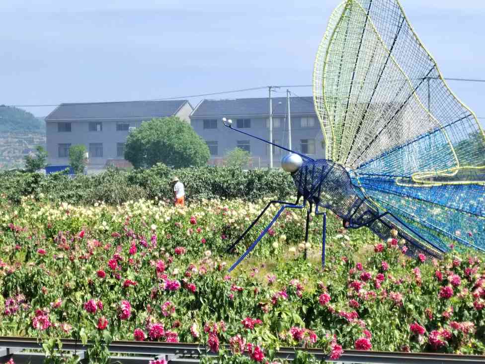 㽭̴WhWԺLlչӡӛyֹԒ㽭`ꠡԊ@ l