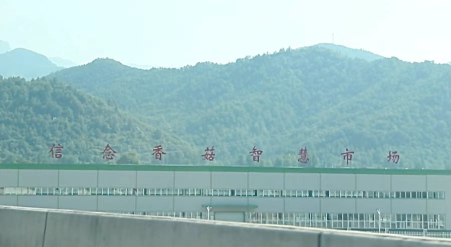 ഺ߻ӣl̽dʡRϿhɽ^㹽lչ{֮^ƪ