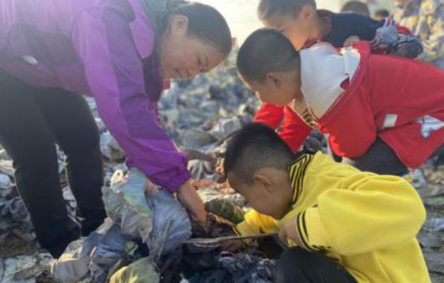 M(jn)gSյϲ F(tun)tr(nng)׃@`