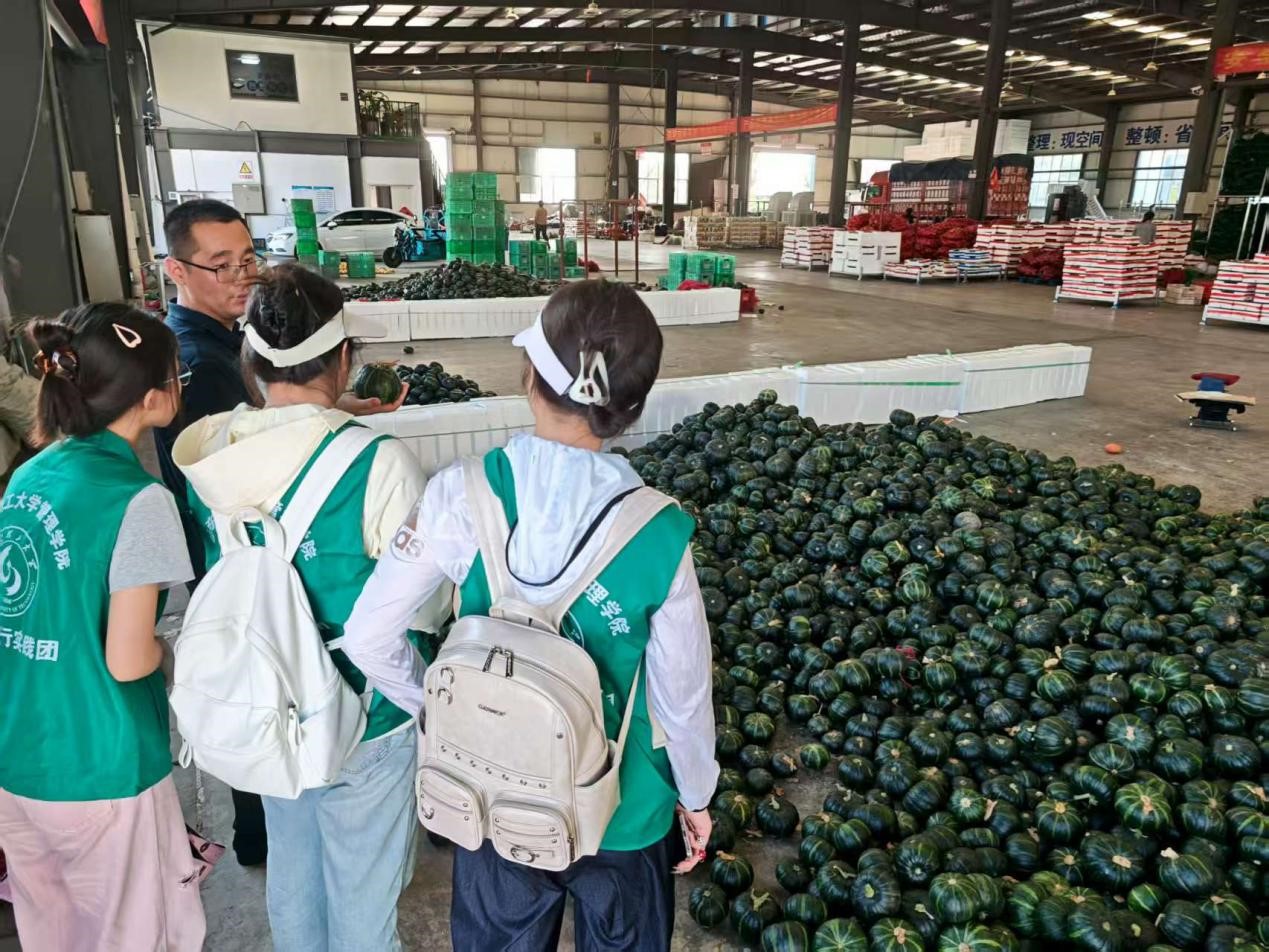 ɽ|W(xu)l(xing)۹@LҒ;