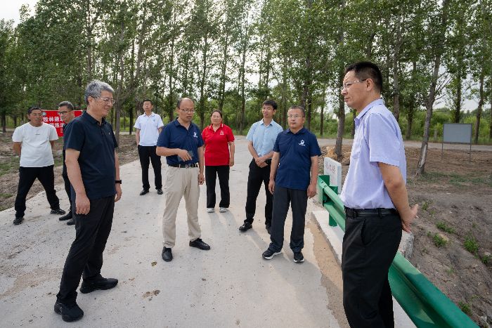 a(chn)I(y)d3_compressed