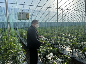 ЙC(j)r(nng)I(y)a(chn) (chung)¼g(sh)M(jn)ЙC(j)l(f)չ