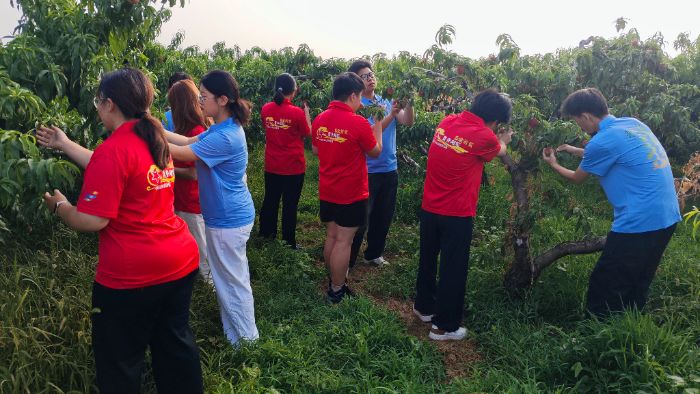 ˇ?yn)Lɡ(sh)`F(tun)ഺxl(xing)d