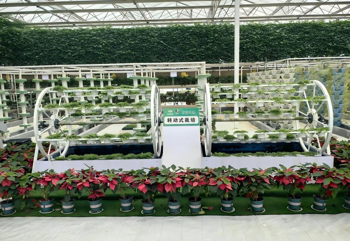 ɽ|Wl̽Lo@^a߲ˮaIdܴa