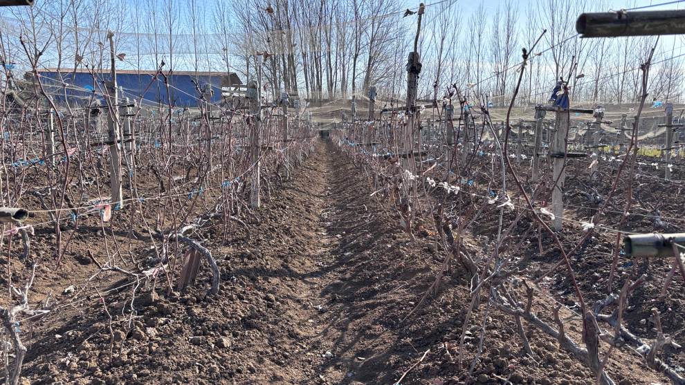 r(nng)Ǆ(chung){(dio)ЈF(tun)_չ(sh){(dio)л(dng)