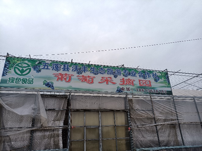 sr(nng)I(y)Ƅ(dng)l(xing)d