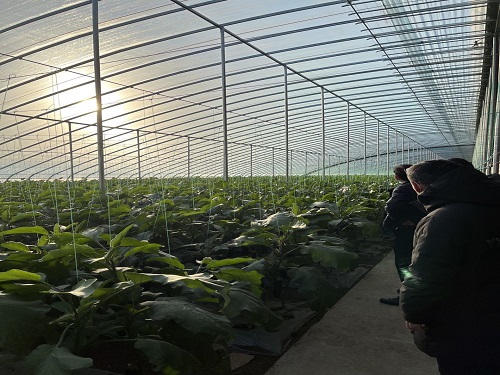 푑(yng)߰l(f)չr(nng)I(y)Ƽ (chung)¼g(sh)Ƅ(dng)r(nng)I(y)d