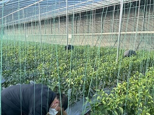 푑(yng)Gɫl(f)չ̖ ۽ЙC(j)x