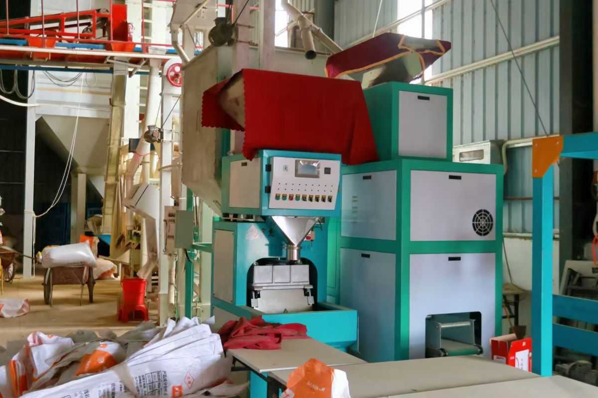 (yng)(sh)`(du)zƷƣl(xing)dƪ