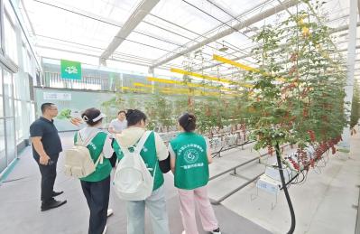 ɽ|W(xu)l(xing)̽۹r(nng)I(y)ƼI(lng)ǻ۷Nֲ