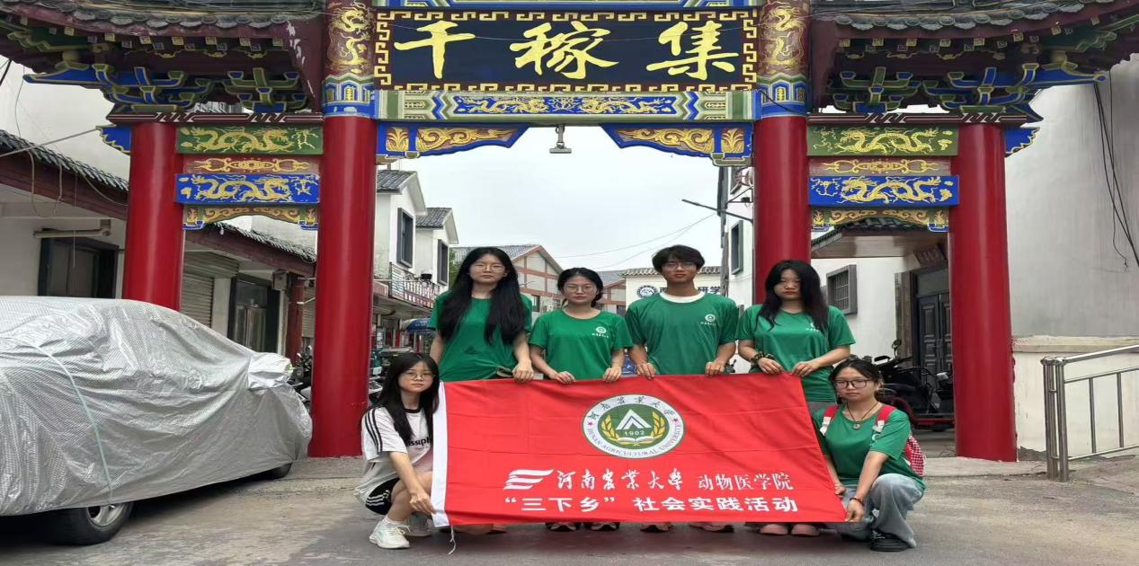 賦能鄉(xiāng)村振興,尋興農(nóng)新路徑