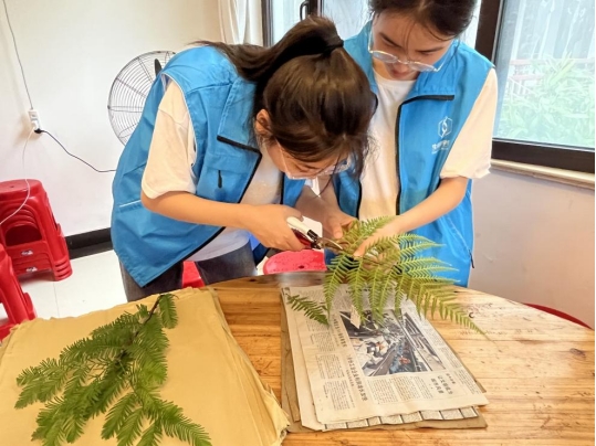 ώWƌWWԺС࣬ɭСG֮tIBG`{ЈF_չֲ˱